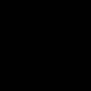 Meet your Posher, Amie